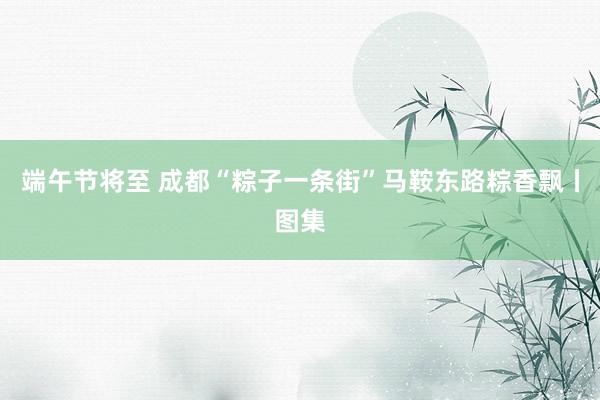端午节将至 成都“粽子一条街”马鞍东路粽香飘丨图集