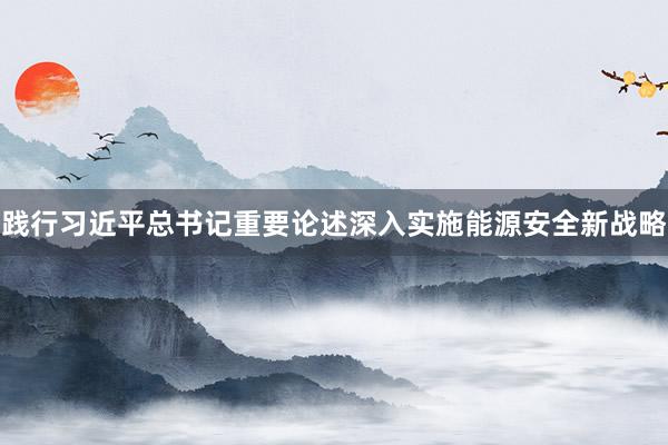 践行习近平总书记重要论述深入实施能源安全新战略