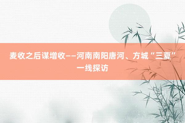 麦收之后谋增收——河南南阳唐河、方城“三夏”一线探访