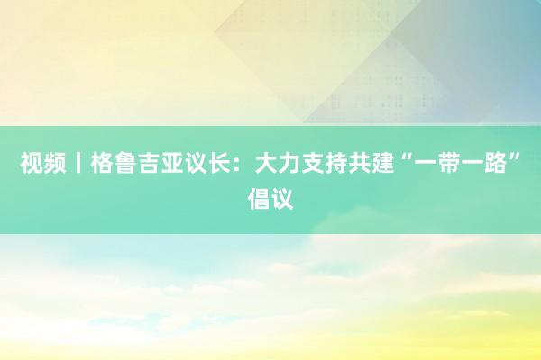 视频丨格鲁吉亚议长：大力支持共建“一带一路”倡议
