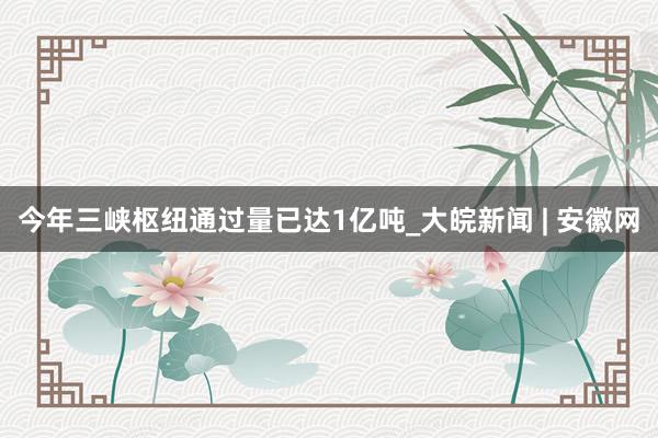 今年三峡枢纽通过量已达1亿吨_大皖新闻 | 安徽网