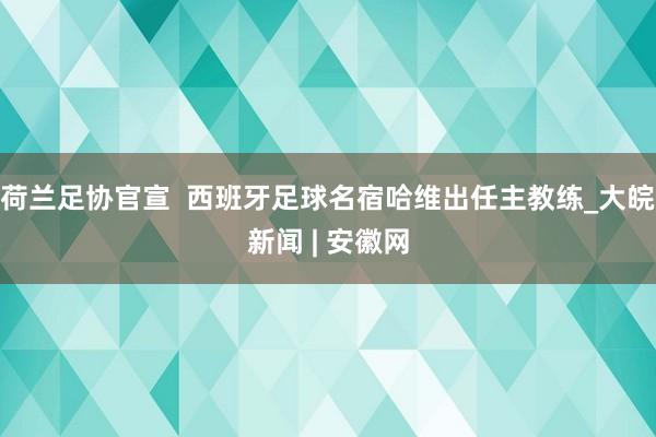荷兰足协官宣  西班牙足球名宿哈维出任主教练_大皖新闻 | 安徽网