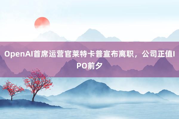 OpenAI首席运营官莱特卡普宣布离职，公司正值IPO前夕
