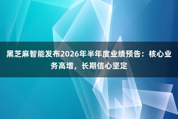 黑芝麻智能发布2026年半年度业绩预告：核心业务高增，长期信心坚定