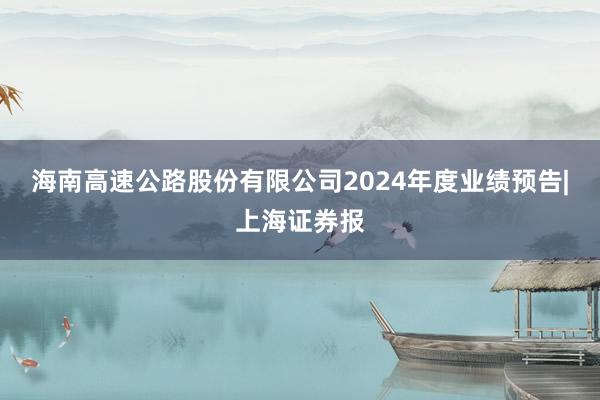 海南高速公路股份有限公司2024年度业绩预告|上海证券报