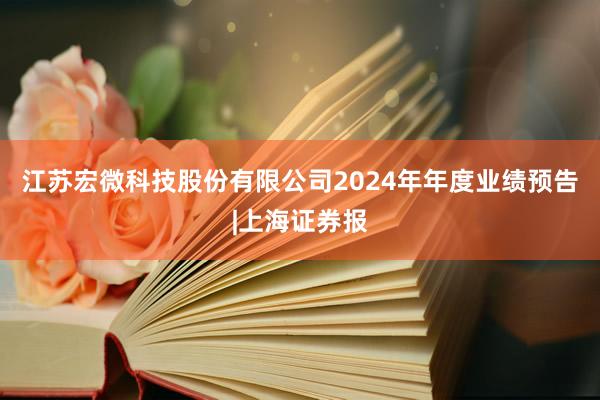 江苏宏微科技股份有限公司2024年年度业绩预告|上海证券报