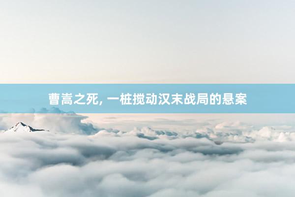 曹嵩之死, 一桩搅动汉末战局的悬案