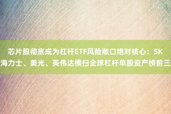 芯片股彻底成为杠杆ETF风险敞口绝对核心：SK海力士、美光、英伟达横扫全球杠杆单股资产榜前三