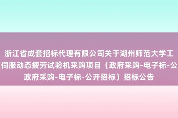 浙江省成套招标代理有限公司关于湖州师范大学工学院两新设备电液伺服动态疲劳试验机采购项目（政府采购-电子标-公开招标）招标公告