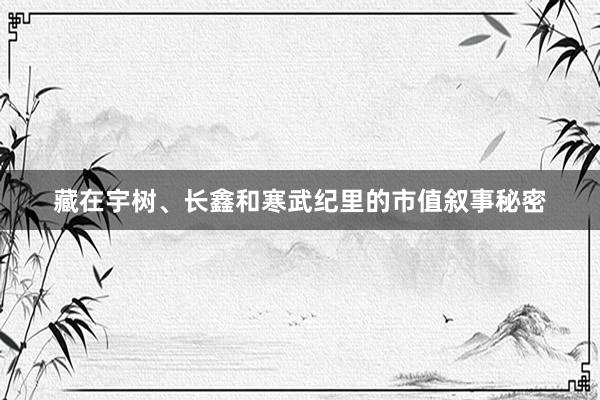 藏在宇树、长鑫和寒武纪里的市值叙事秘密