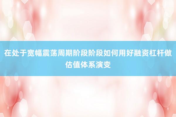 在处于宽幅震荡周期阶段阶段如何用好融资杠杆做估值体系演变
