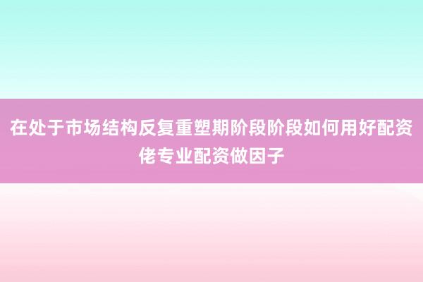 在处于市场结构反复重塑期阶段阶段如何用好配资佬专业配资做因子