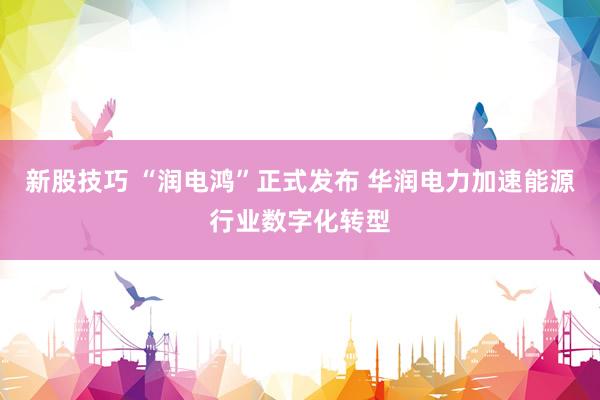 新股技巧 “润电鸿”正式发布 华润电力加速能源行业数字化转型