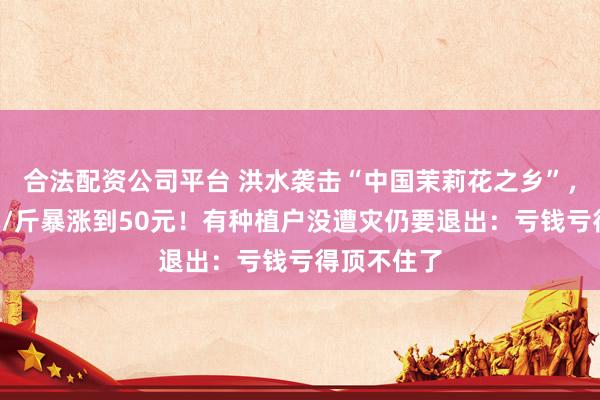 合法配资公司平台 洪水袭击“中国茉莉花之乡”，花价从3元/斤暴涨到50元！有种植户没遭灾仍要退出：亏钱亏得顶不住了