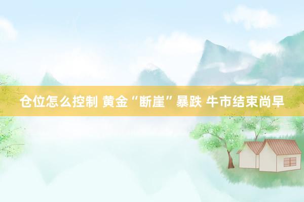 仓位怎么控制 黄金“断崖”暴跌 牛市结束尚早