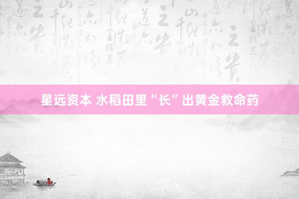 星远资本 水稻田里“长”出黄金救命药