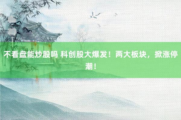 不看盘能炒股吗 科创股大爆发！两大板块，掀涨停潮！