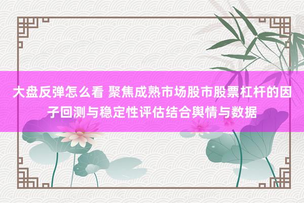 大盘反弹怎么看 聚焦成熟市场股市股票杠杆的因子回测与稳定性评估结合舆情与数据