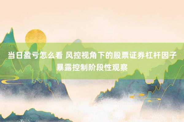 当日盈亏怎么看 风控视角下的股票证券杠杆因子暴露控制阶段性观察