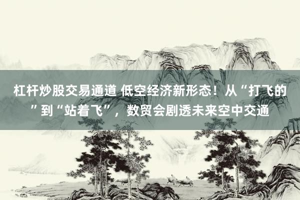杠杆炒股交易通道 低空经济新形态！从“打飞的”到“站着飞”，数贸会剧透未来空中交通