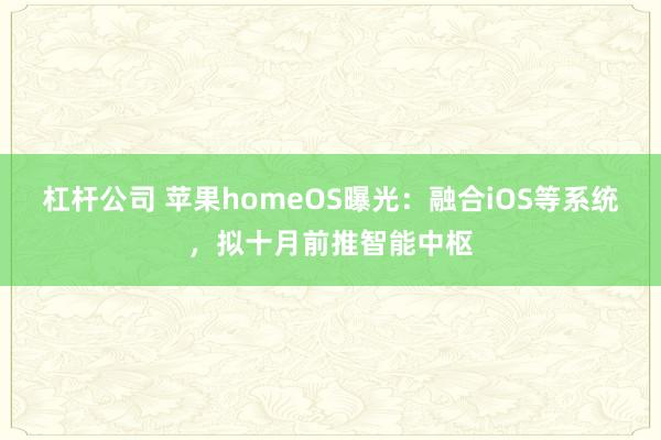 杠杆公司 苹果homeOS曝光：融合iOS等系统，拟十月前推智能中枢