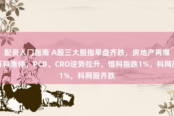 配资入门指南 A股三大股指早盘齐跌，房地产再爆发、万科涨停，PCB、CRO逆势拉升，恒科指跌1%，科网股齐跌