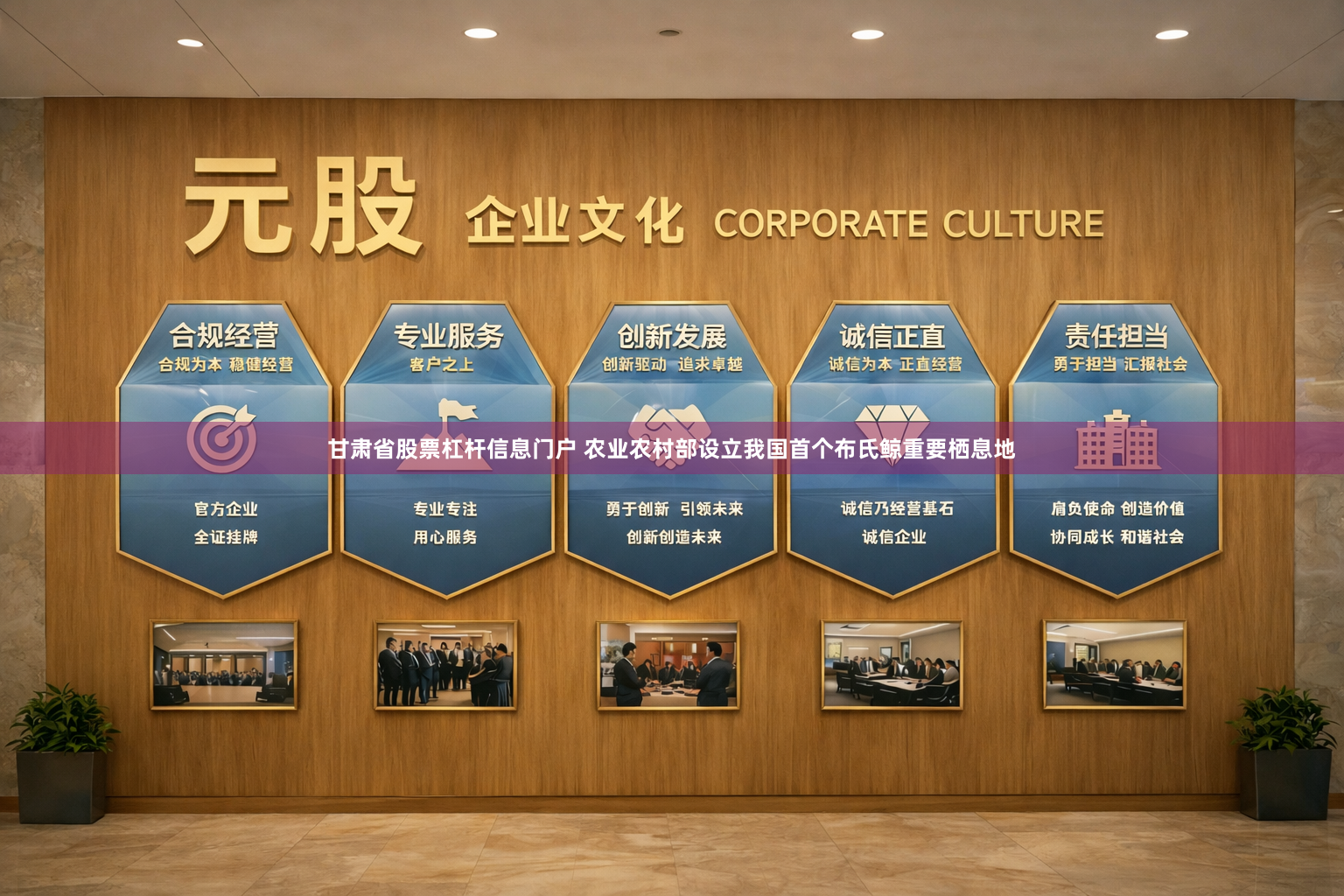 甘肃省股票杠杆信息门户 农业农村部设立我国首个布氏鲸重要栖息地
