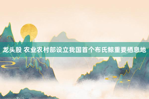 龙头股 农业农村部设立我国首个布氏鲸重要栖息地