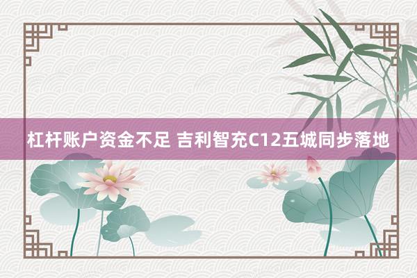 杠杆账户资金不足 吉利智充C12五城同步落地