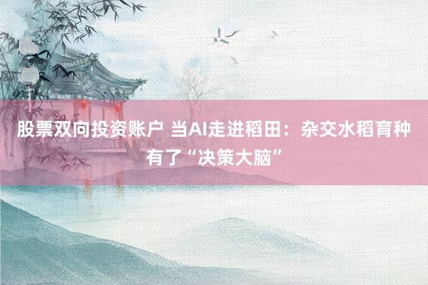 股票双向投资账户 当AI走进稻田:杂交水稻育种有了“决策大脑”