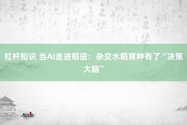 杠杆知识 当AI走进稻田：杂交水稻育种有了“决策大脑”